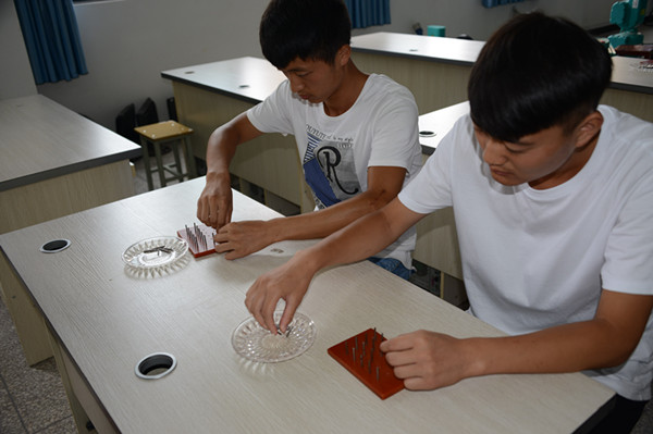 DSC_8012_副本.jpg